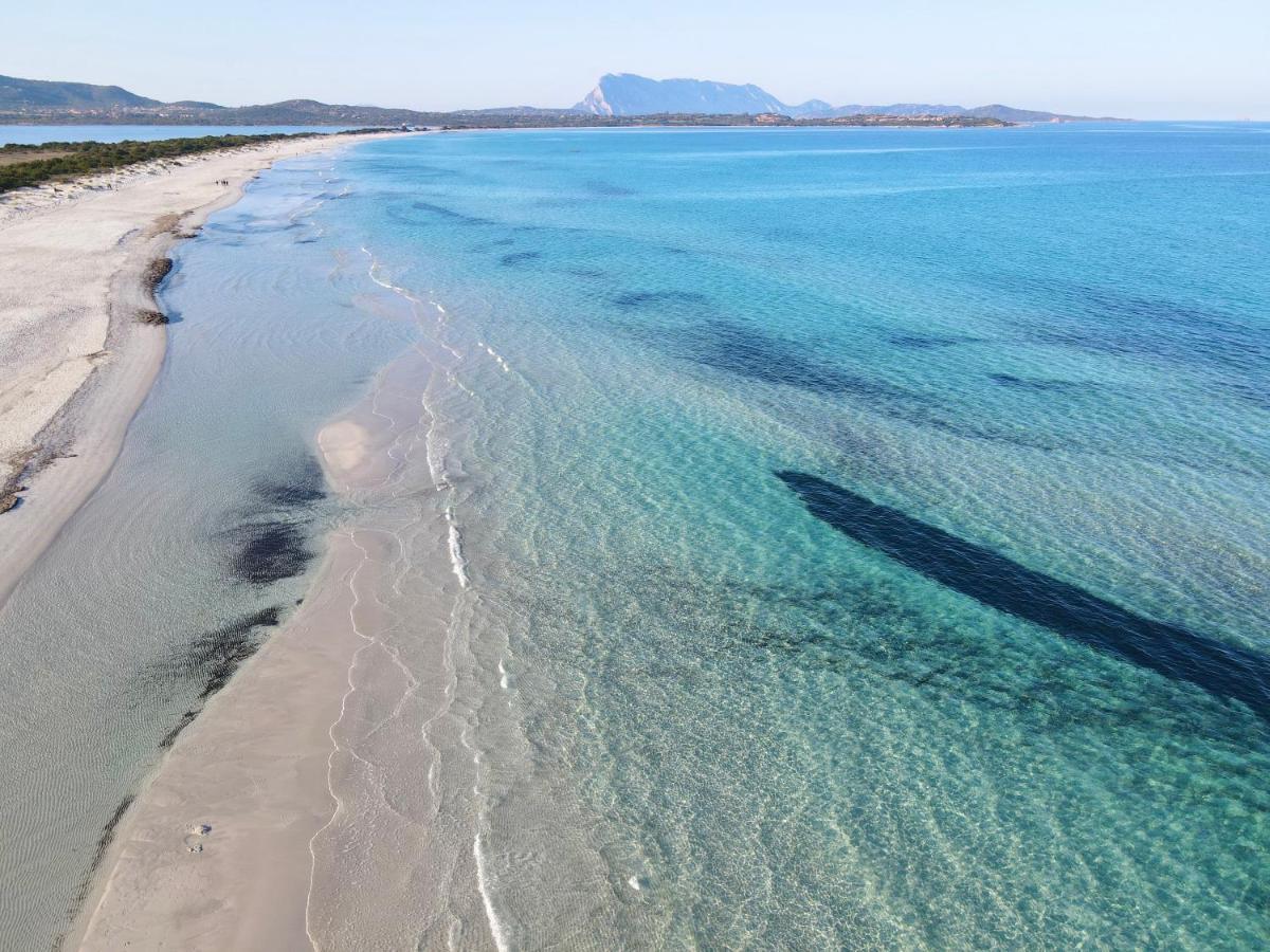 Iss Travel, Sea View Apartment Il Corbezzolo - Ground Floor With Air-Condition San Teodoro  Dış mekan fotoğraf
